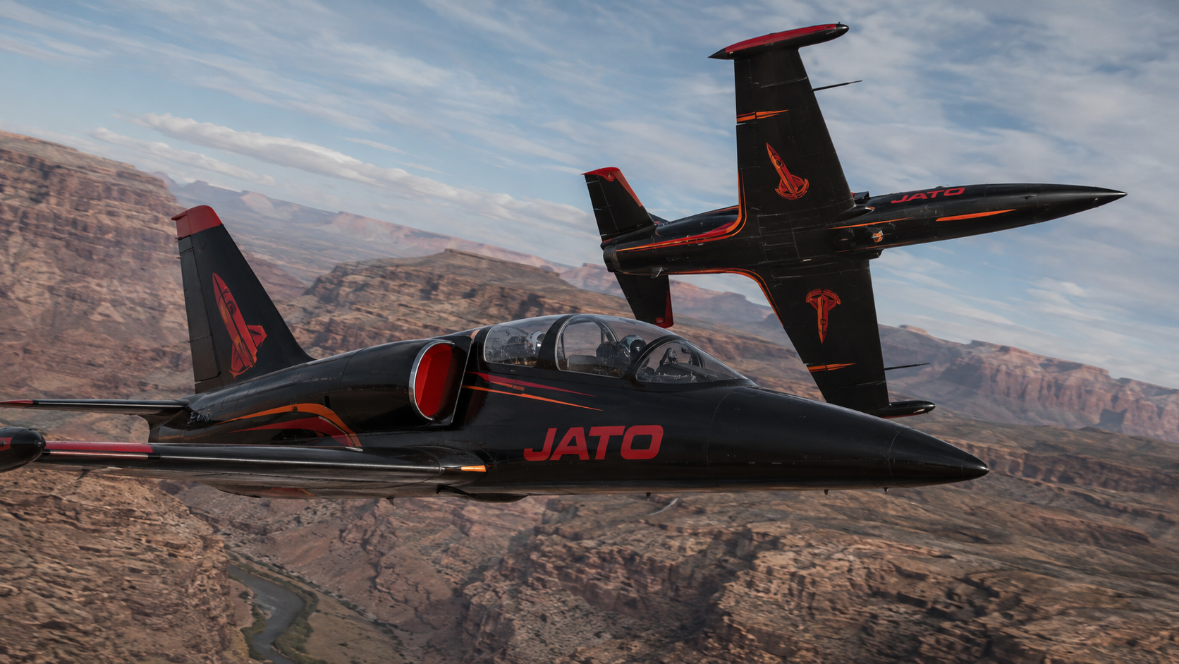 JATO L-39 aircraft in flight